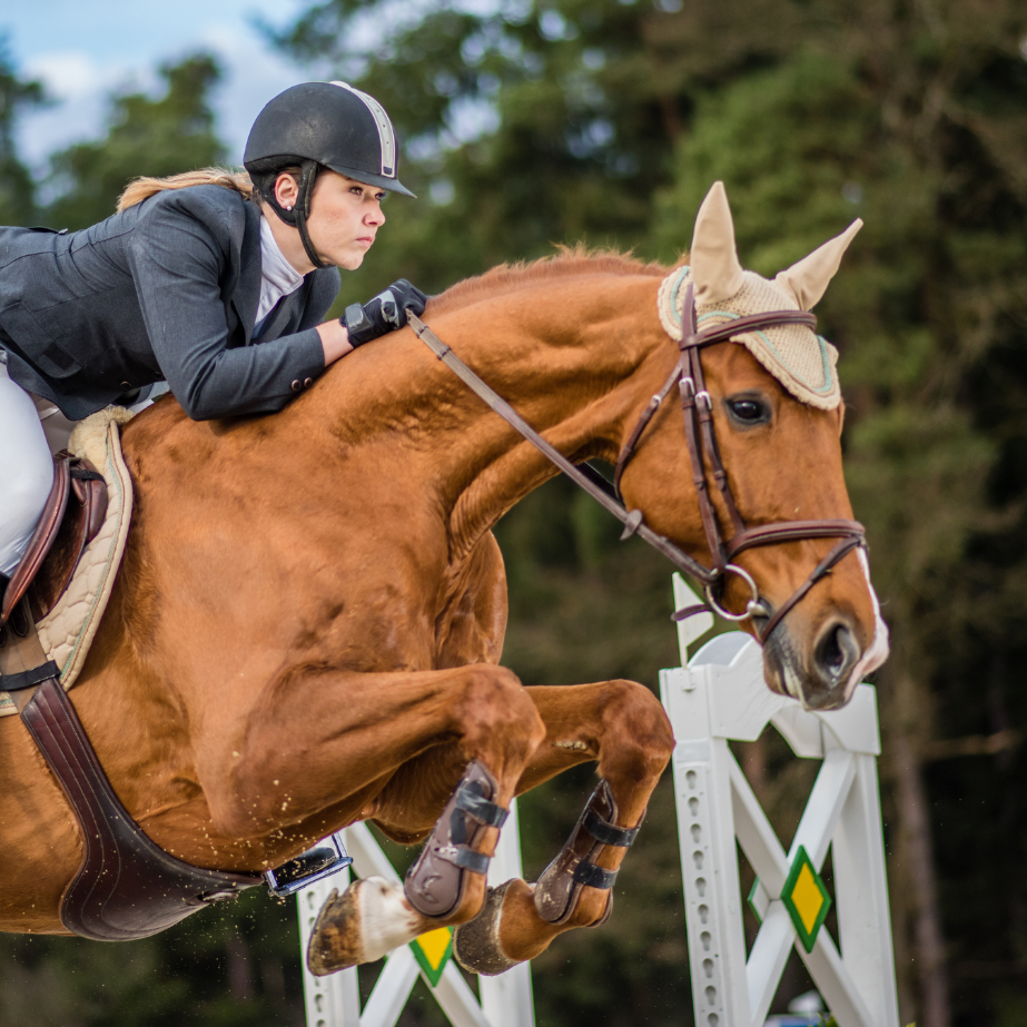 Copy of Unaffdrfinch (1)