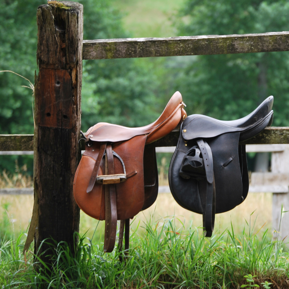 Copy of Unaffdrfinch (3)